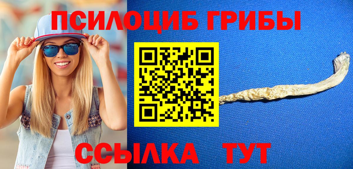 Псилоцибиновые грибы Psilocybe  Псилоцибиновые грибы мухоморы  Светлоград  Вход с VPN 